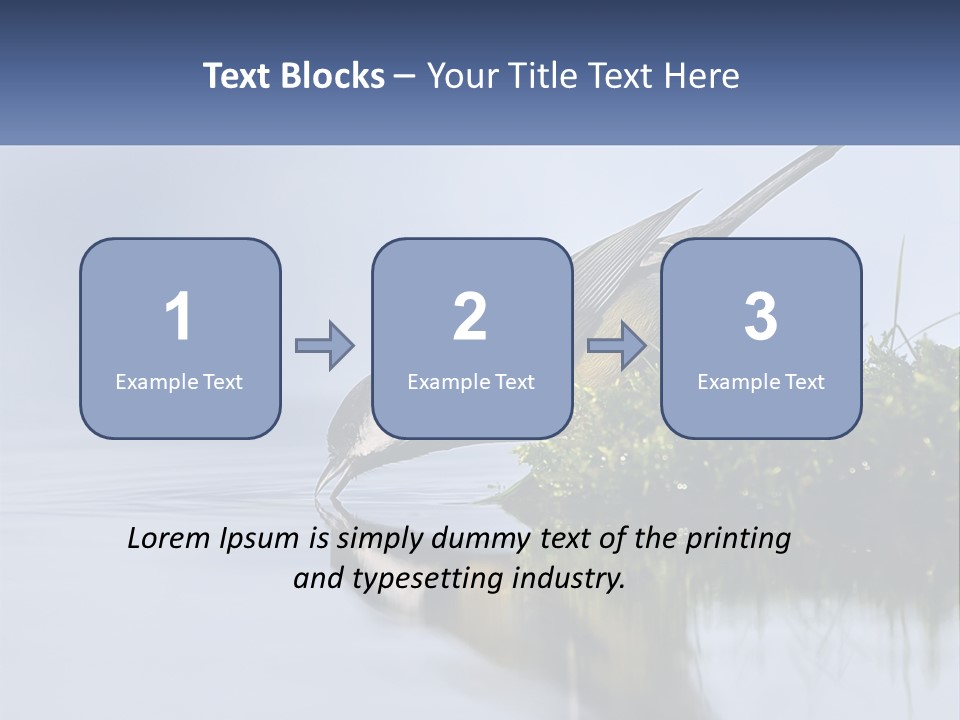 Small Ornithologist Tits PowerPoint Template