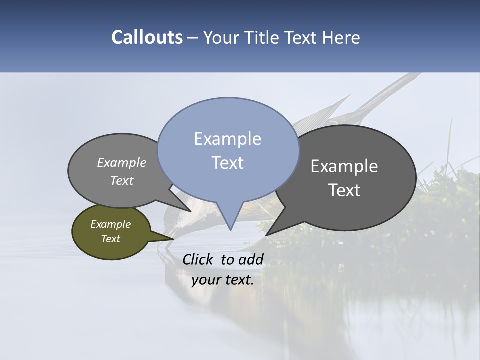 Small Ornithologist Tits PowerPoint Template