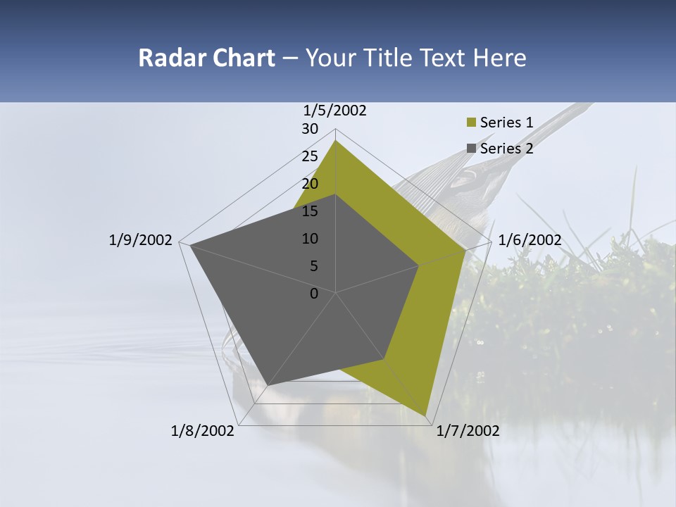 Small Ornithologist Tits PowerPoint Template