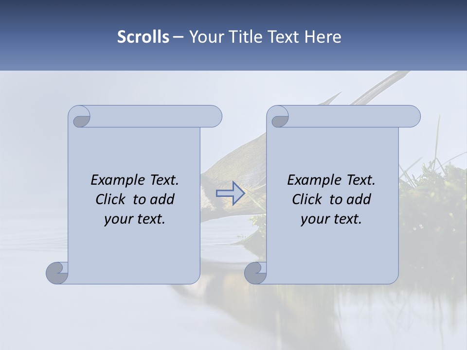 Small Ornithologist Tits PowerPoint Template
