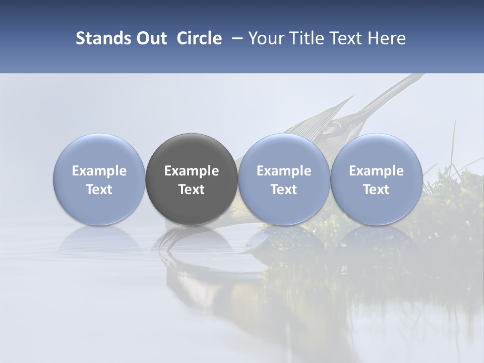 Small Ornithologist Tits PowerPoint Template