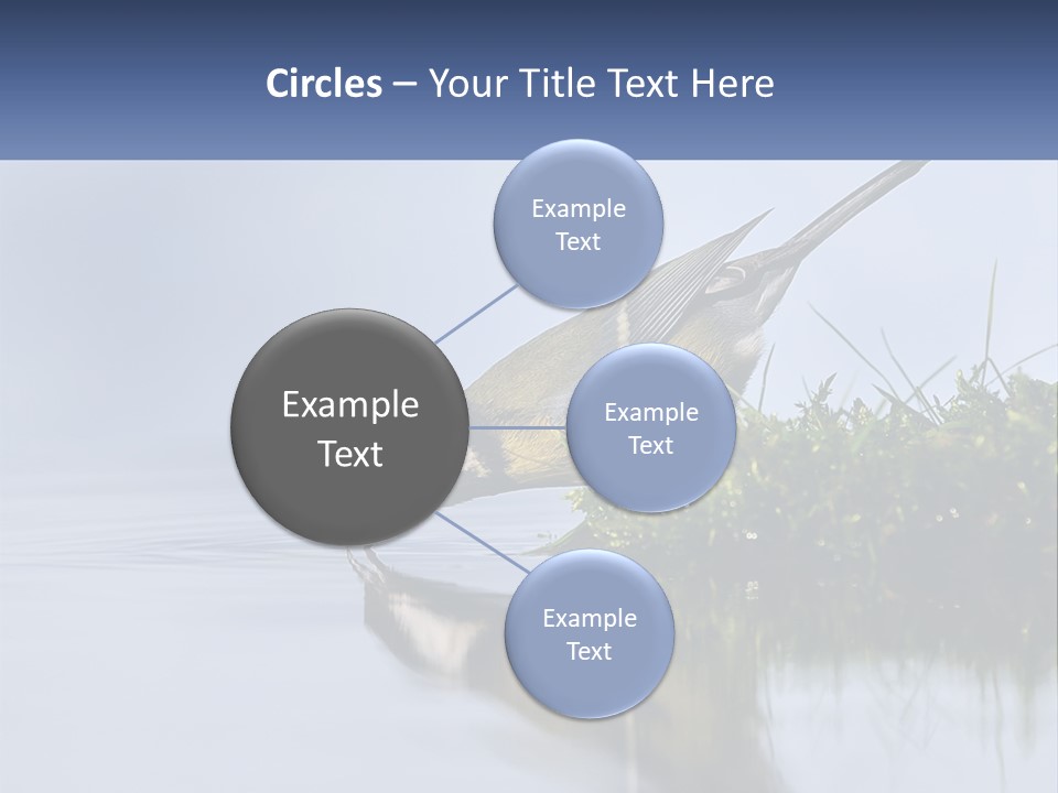 Small Ornithologist Tits PowerPoint Template