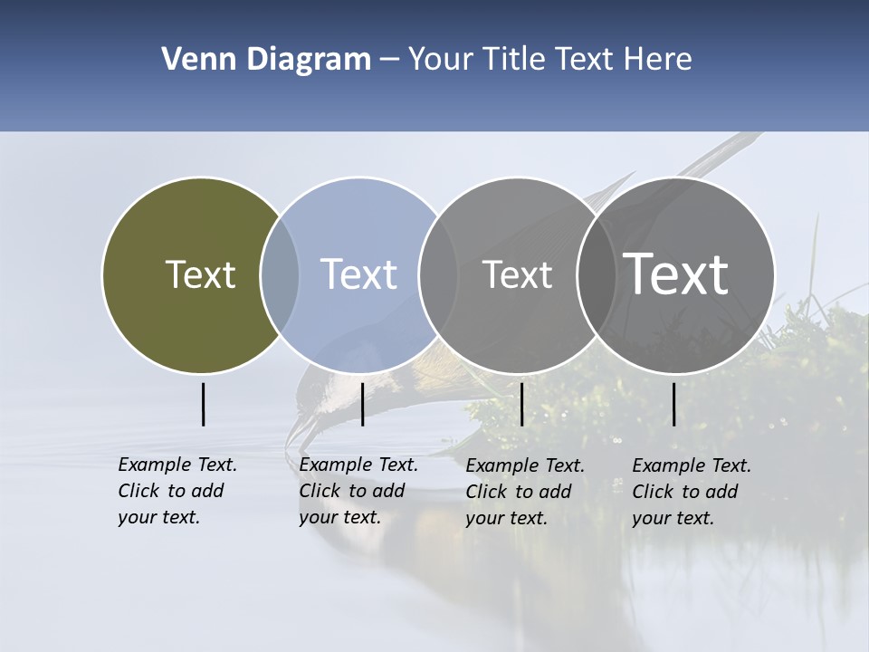 Small Ornithologist Tits PowerPoint Template