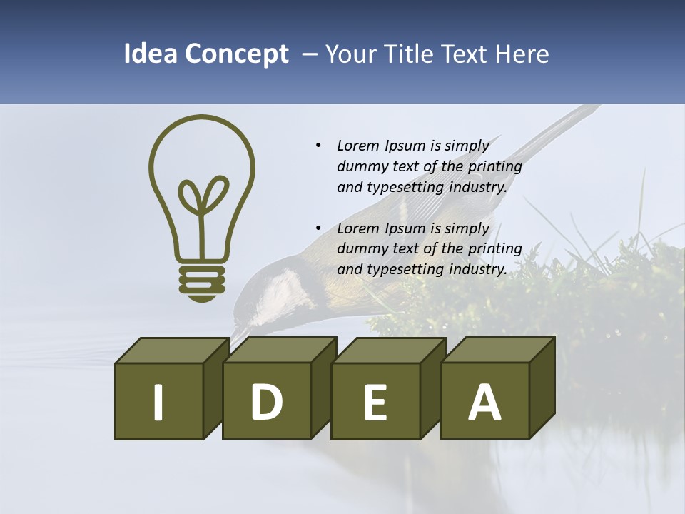 Small Ornithologist Tits PowerPoint Template