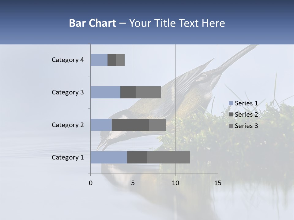 Small Ornithologist Tits PowerPoint Template