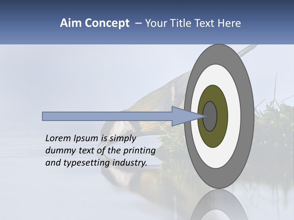 Small Ornithologist Tits PowerPoint Template