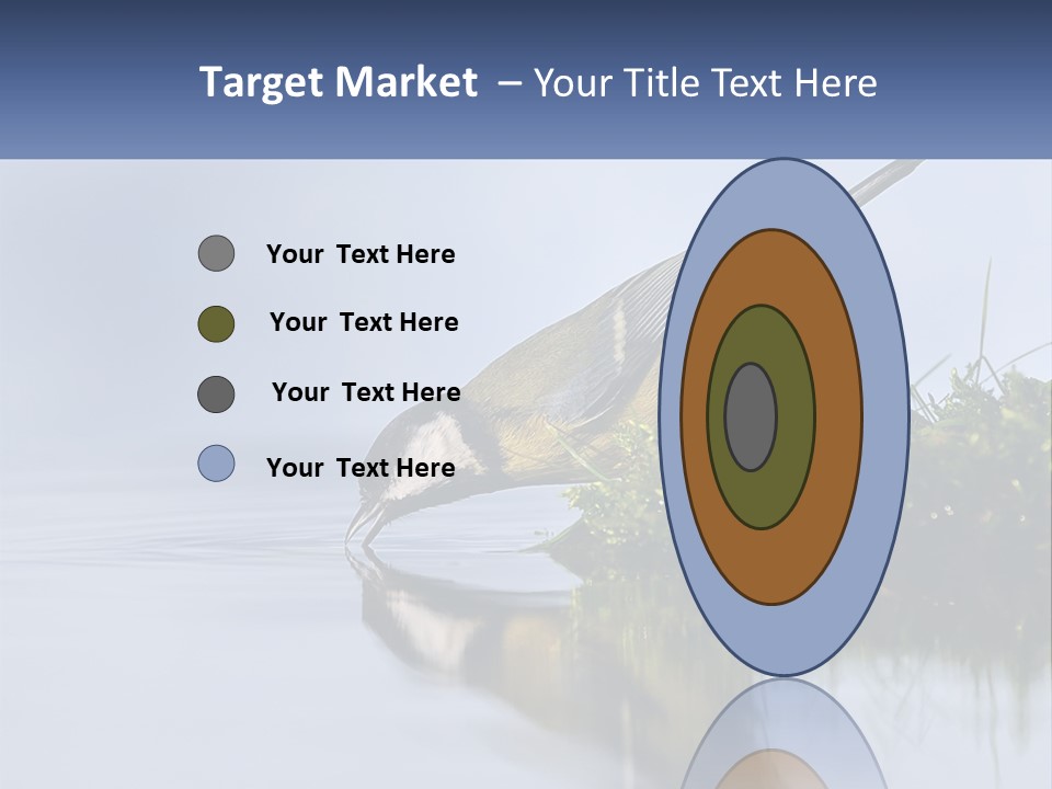 Small Ornithologist Tits PowerPoint Template