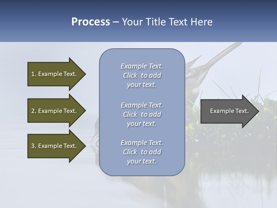 Small Ornithologist Tits PowerPoint Template