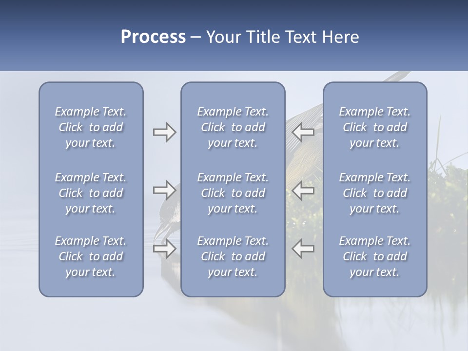 Small Ornithologist Tits PowerPoint Template