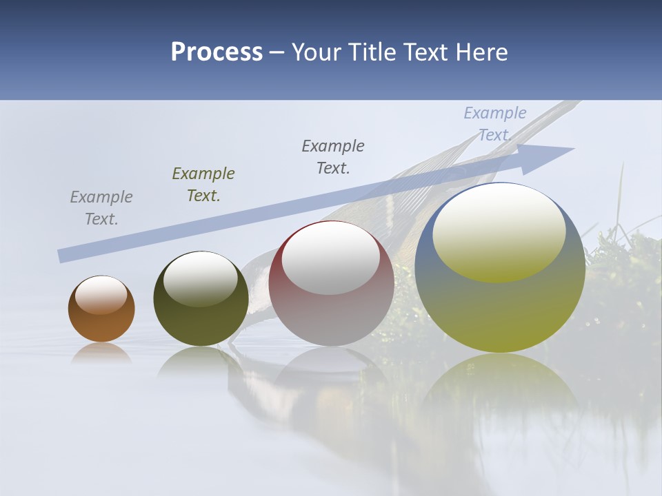 Small Ornithologist Tits PowerPoint Template