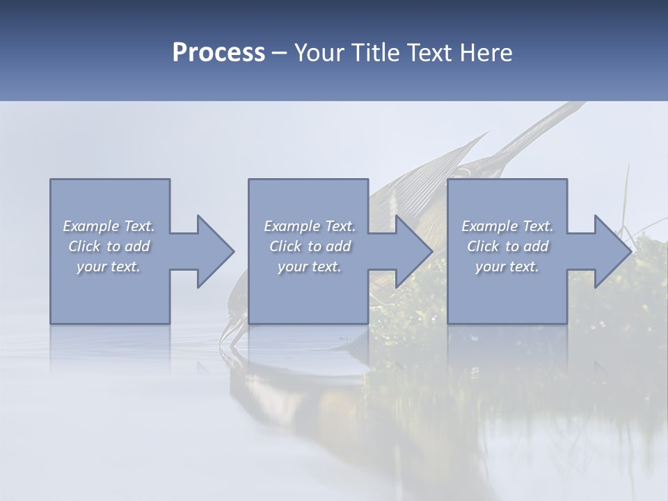 Small Ornithologist Tits PowerPoint Template