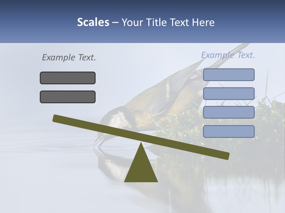 Small Ornithologist Tits PowerPoint Template