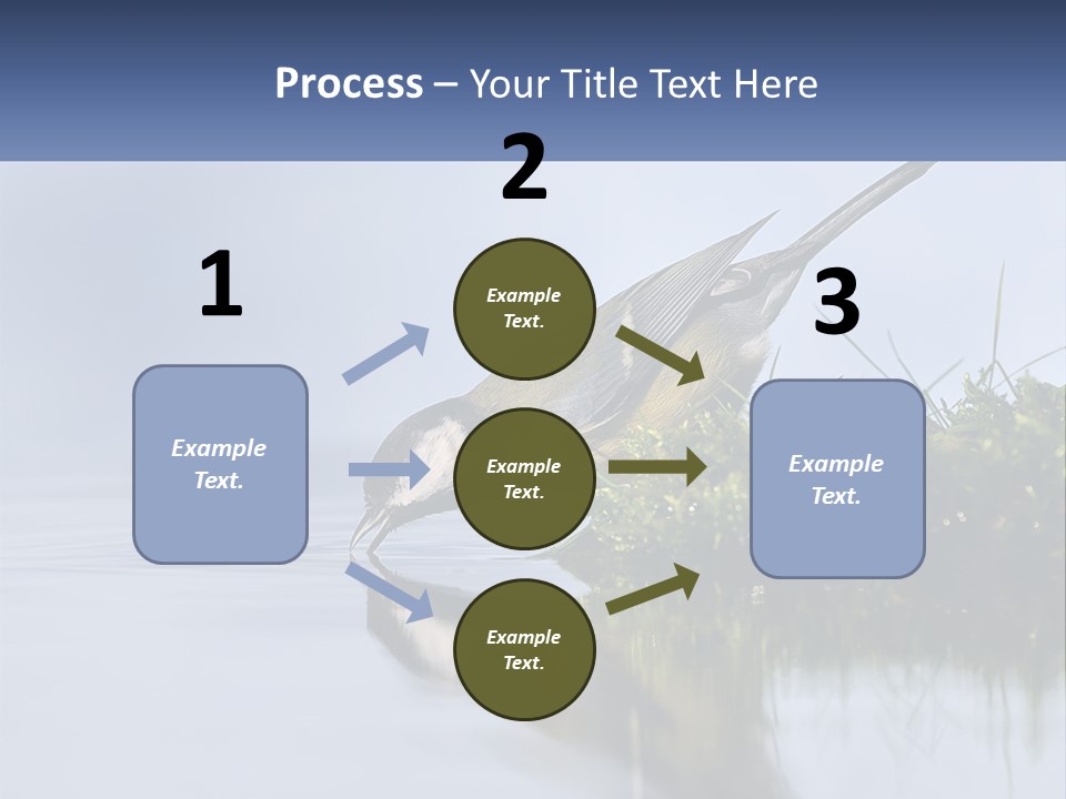 Small Ornithologist Tits PowerPoint Template