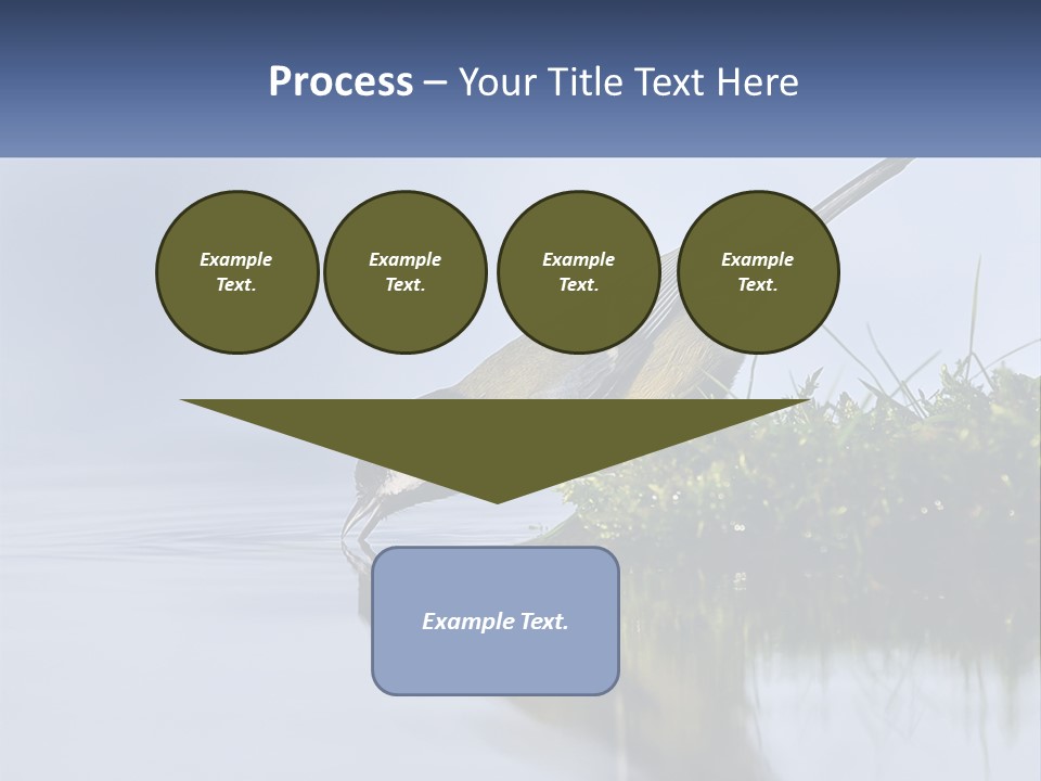 Small Ornithologist Tits PowerPoint Template