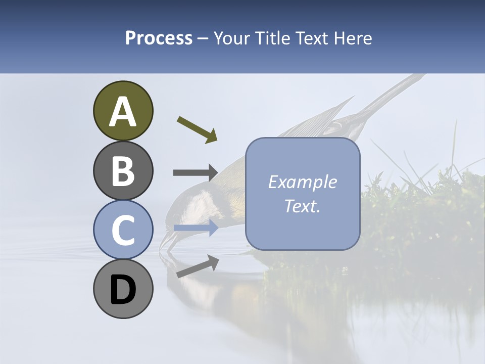 Small Ornithologist Tits PowerPoint Template
