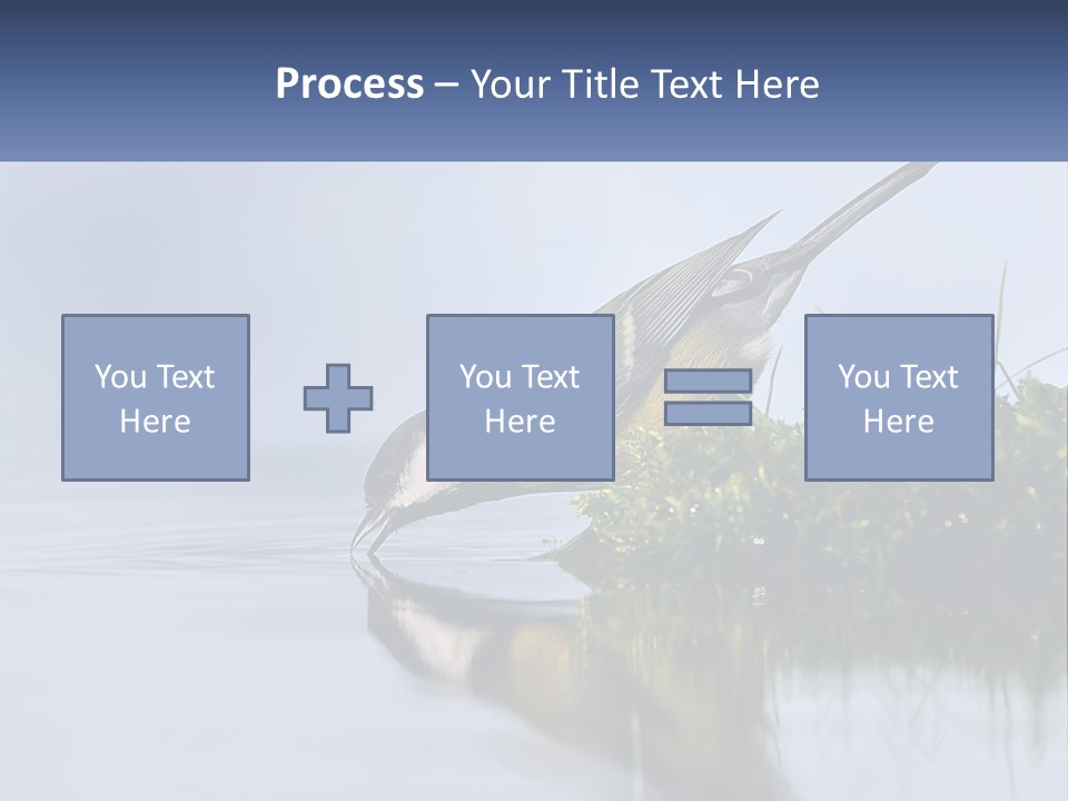 Small Ornithologist Tits PowerPoint Template
