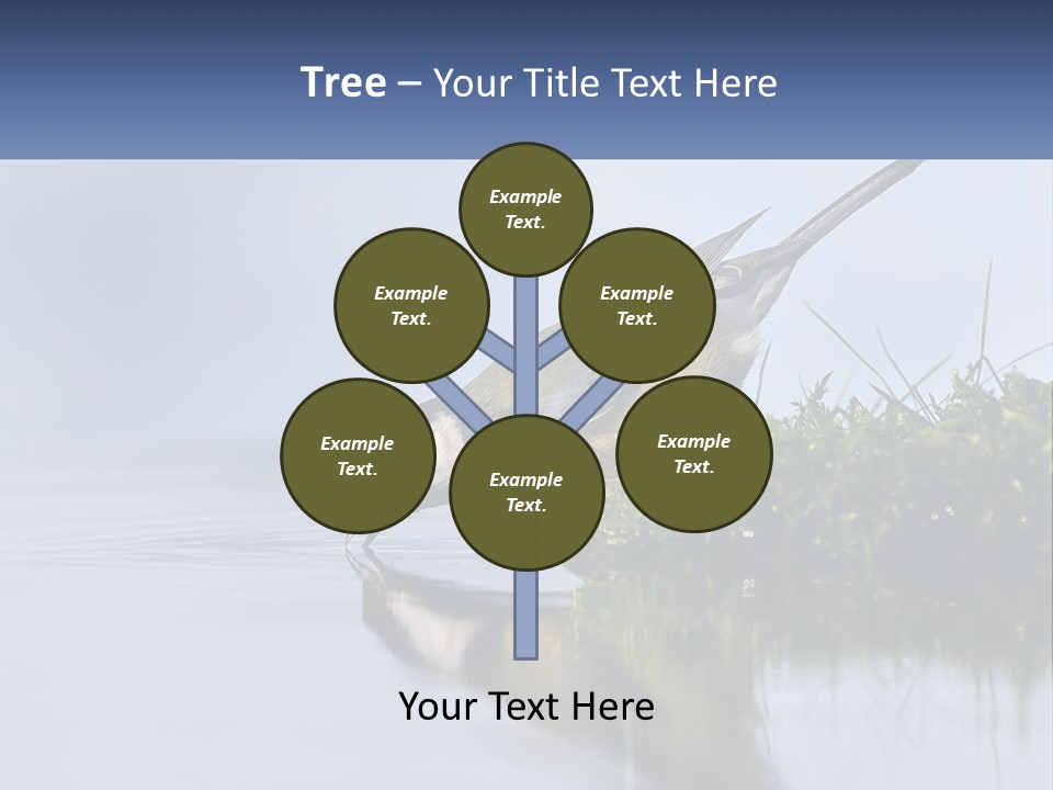 Small Ornithologist Tits PowerPoint Template