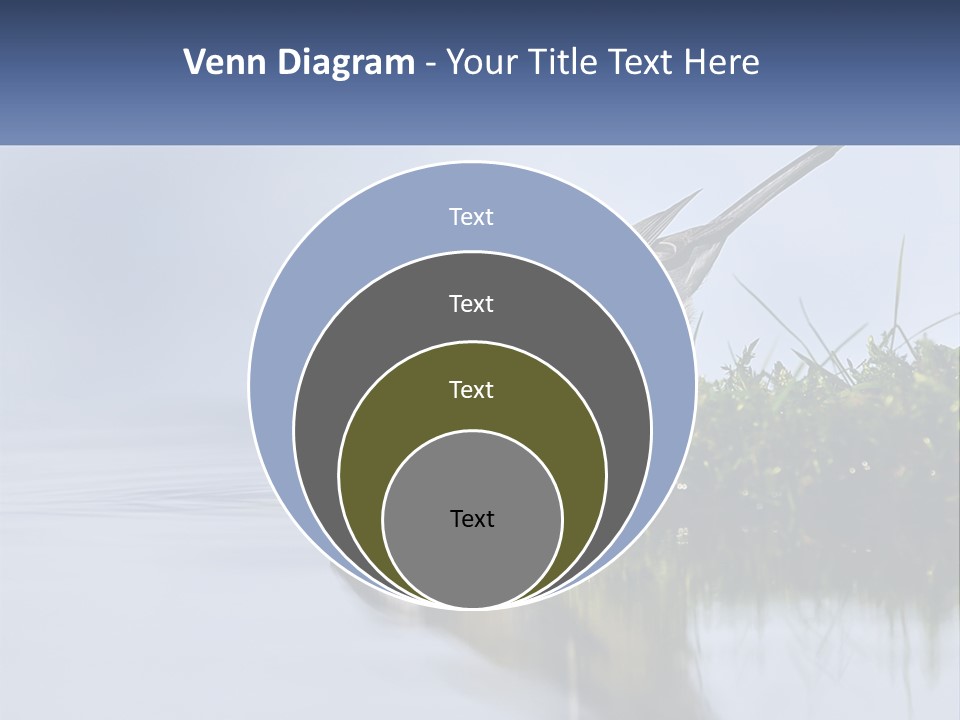 Small Ornithologist Tits PowerPoint Template