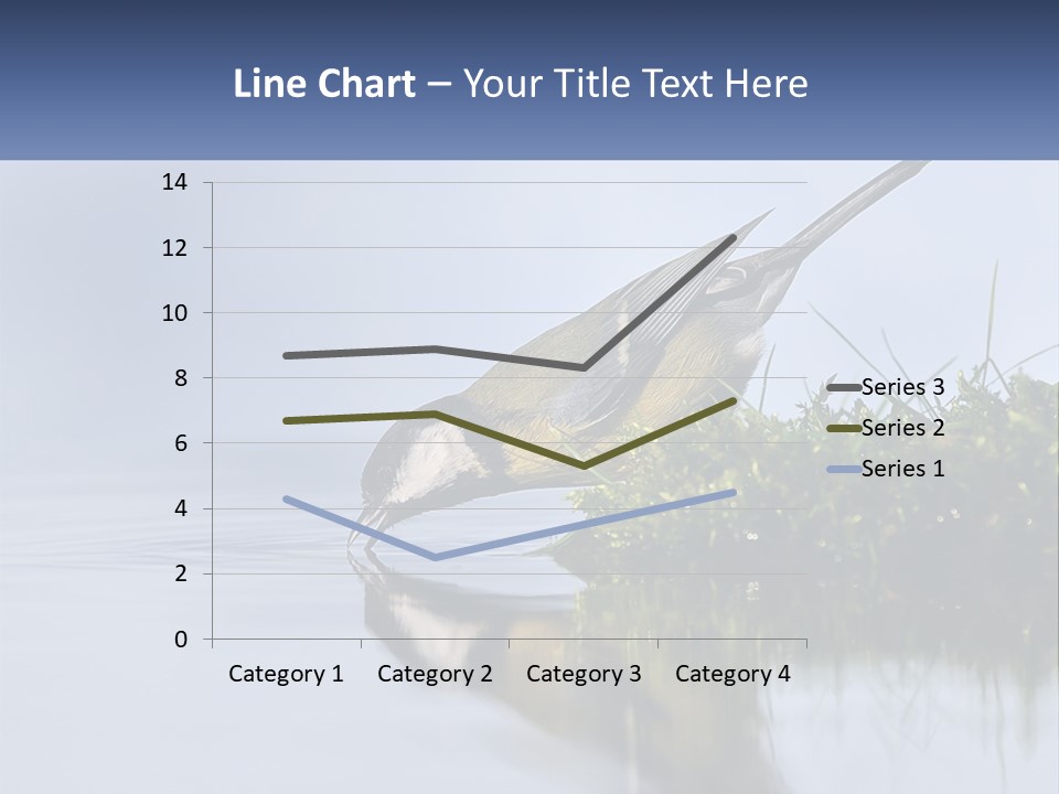 Small Ornithologist Tits PowerPoint Template