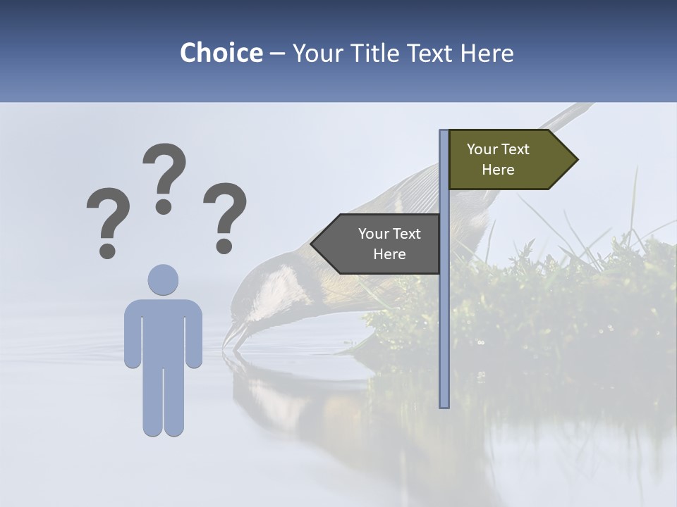 Small Ornithologist Tits PowerPoint Template