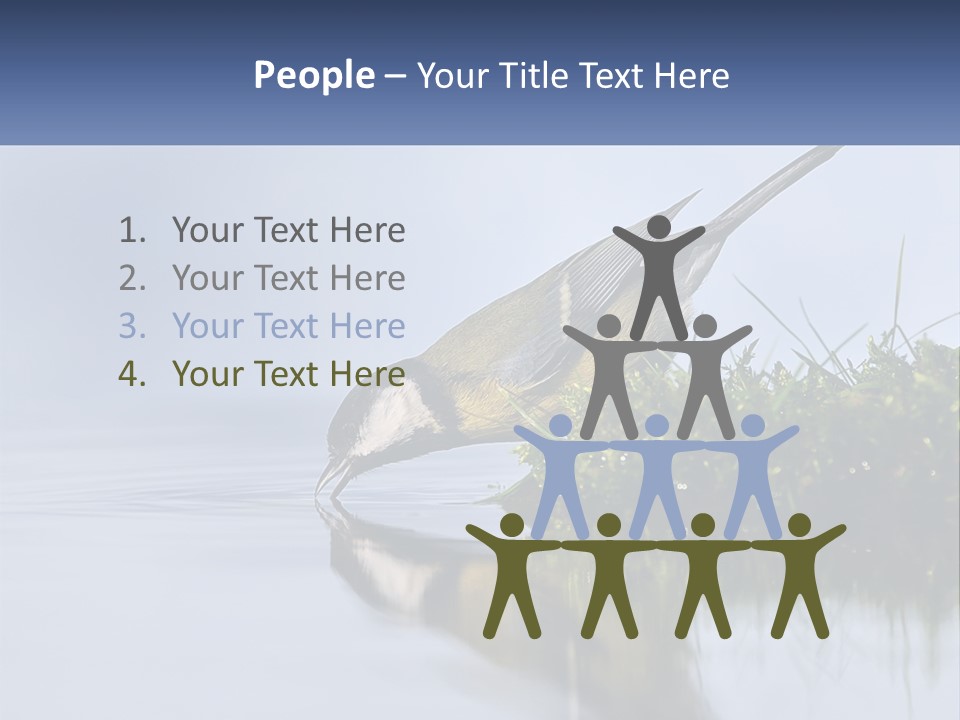 Small Ornithologist Tits PowerPoint Template