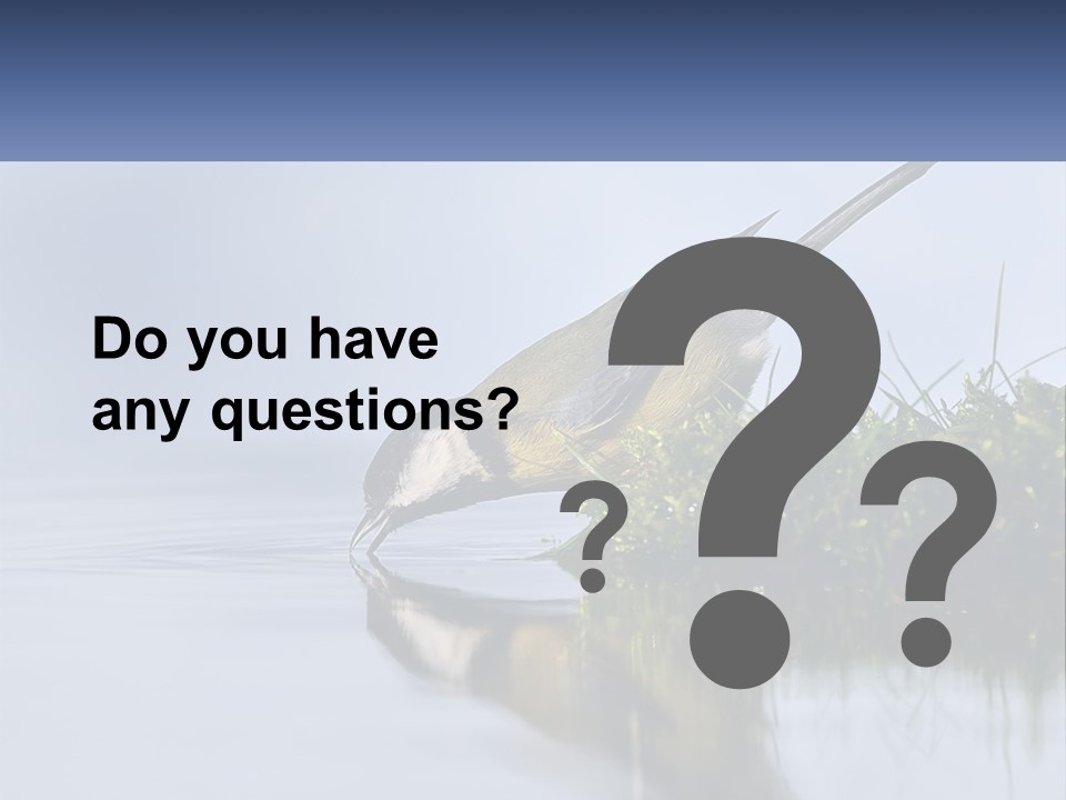 Small Ornithologist Tits PowerPoint Template