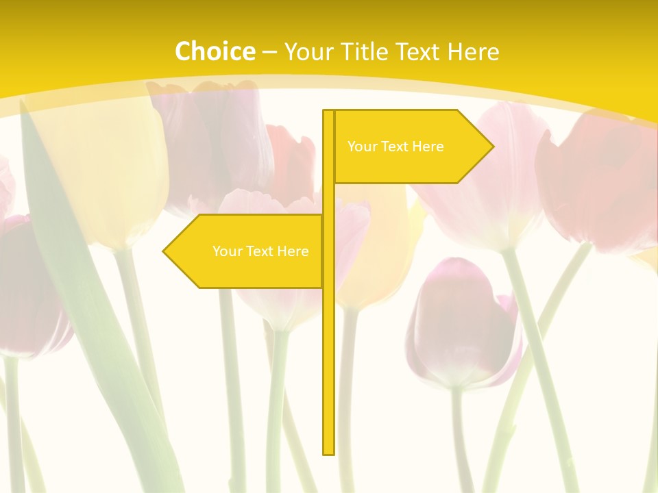 Pretty Green Decoration PowerPoint Template