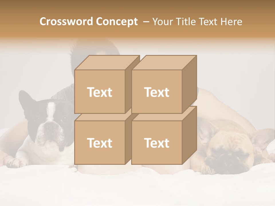 French Couple Dog PowerPoint Template