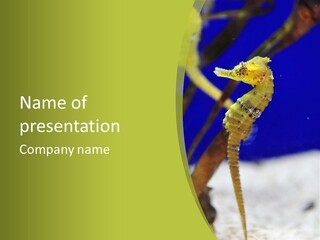 Creature Specie Weed PowerPoint Template