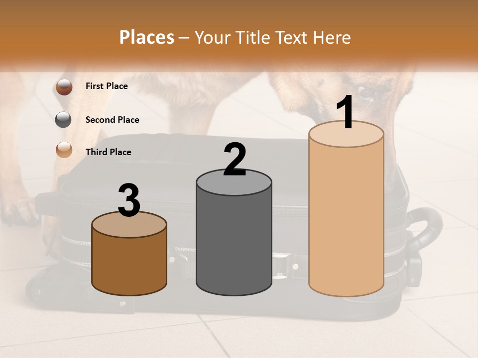 Airport Explosive Sar PowerPoint Template