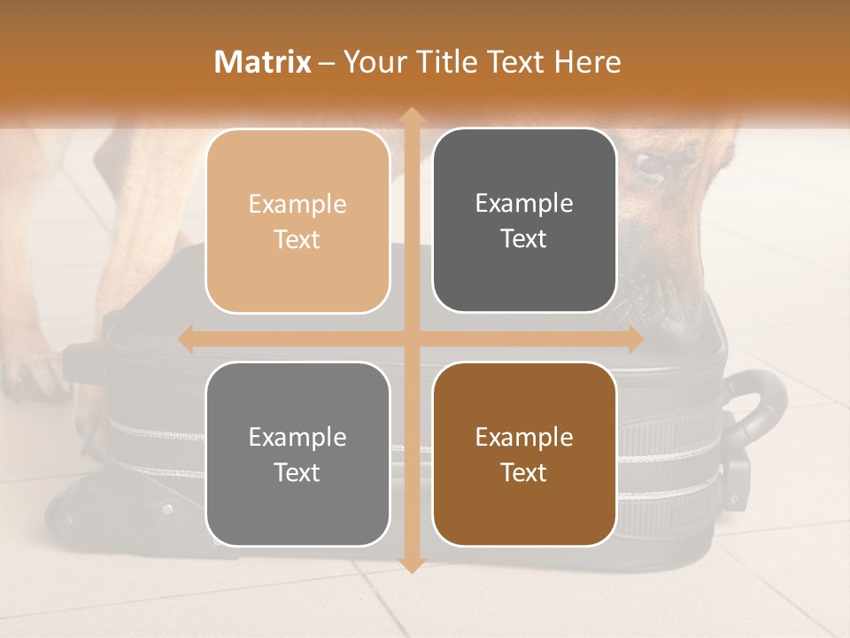 Airport Explosive Sar PowerPoint Template