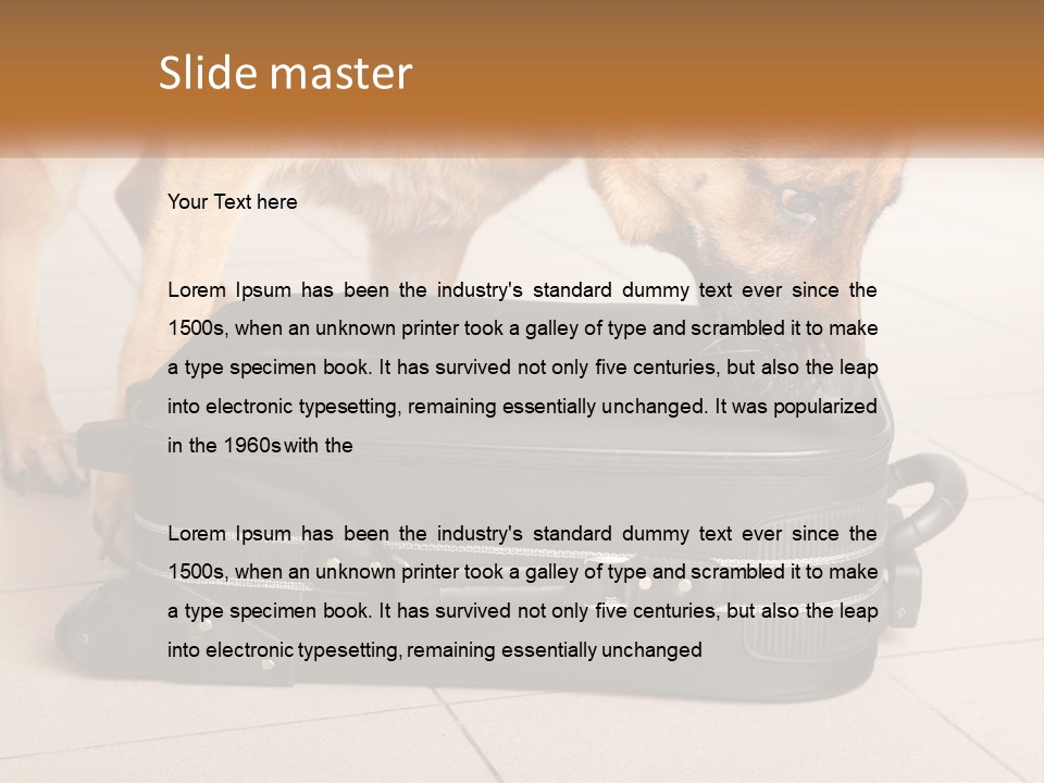 Airport Explosive Sar PowerPoint Template