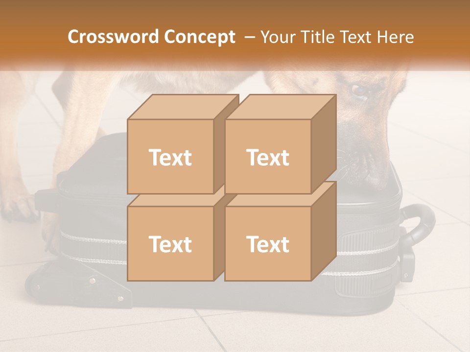Airport Explosive Sar PowerPoint Template