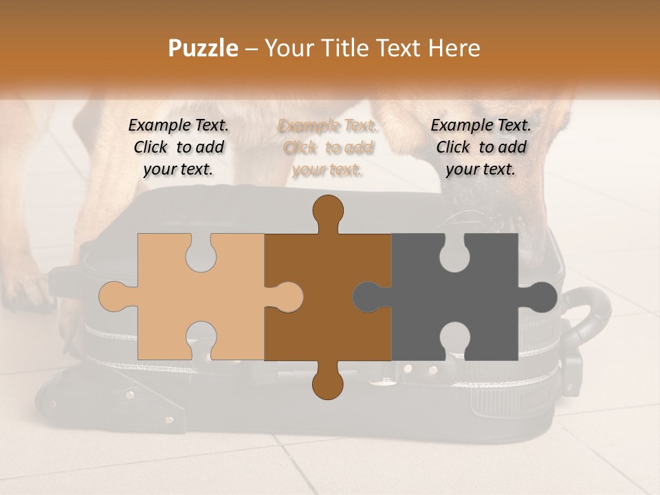 Airport Explosive Sar PowerPoint Template