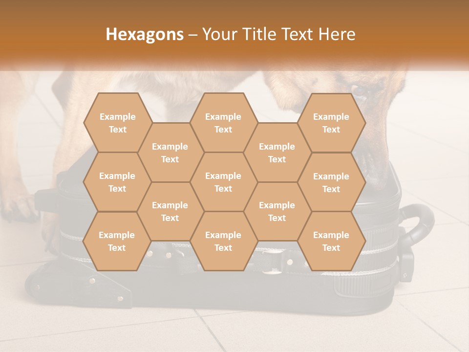 Airport Explosive Sar PowerPoint Template