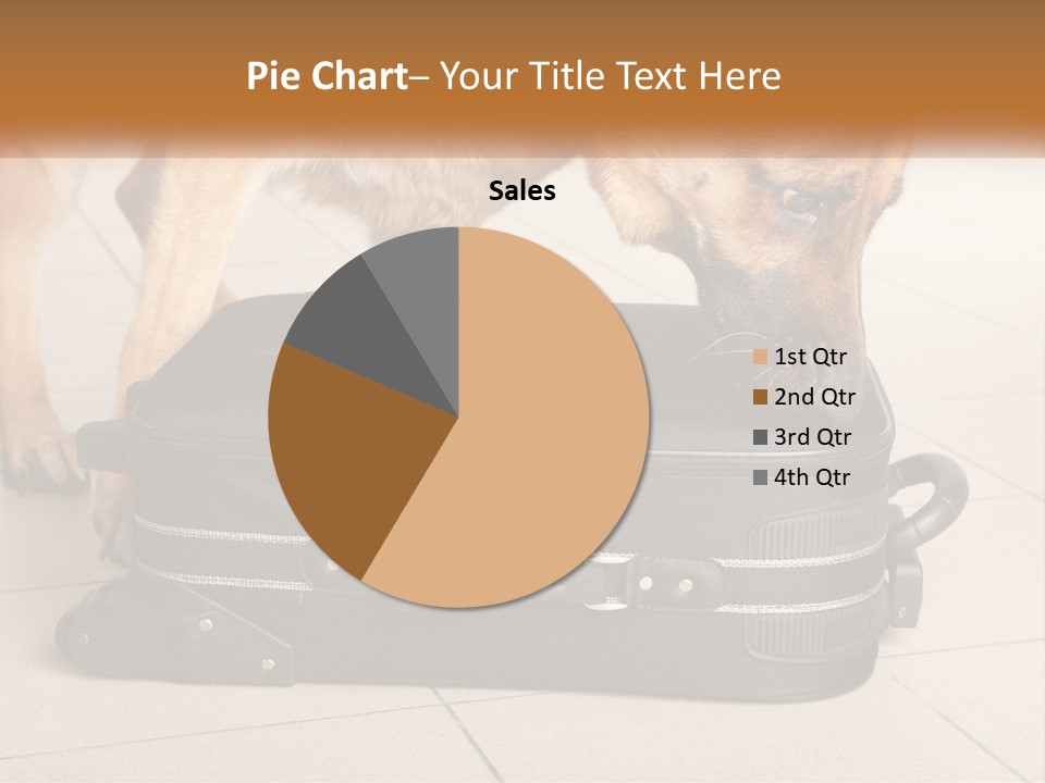 Airport Explosive Sar PowerPoint Template