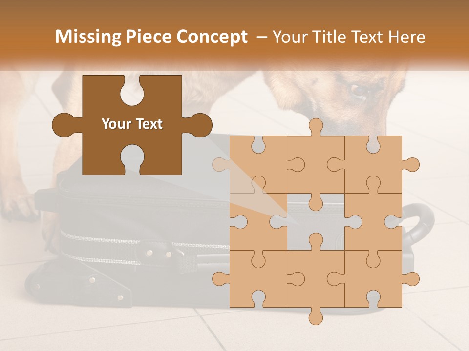 Airport Explosive Sar PowerPoint Template