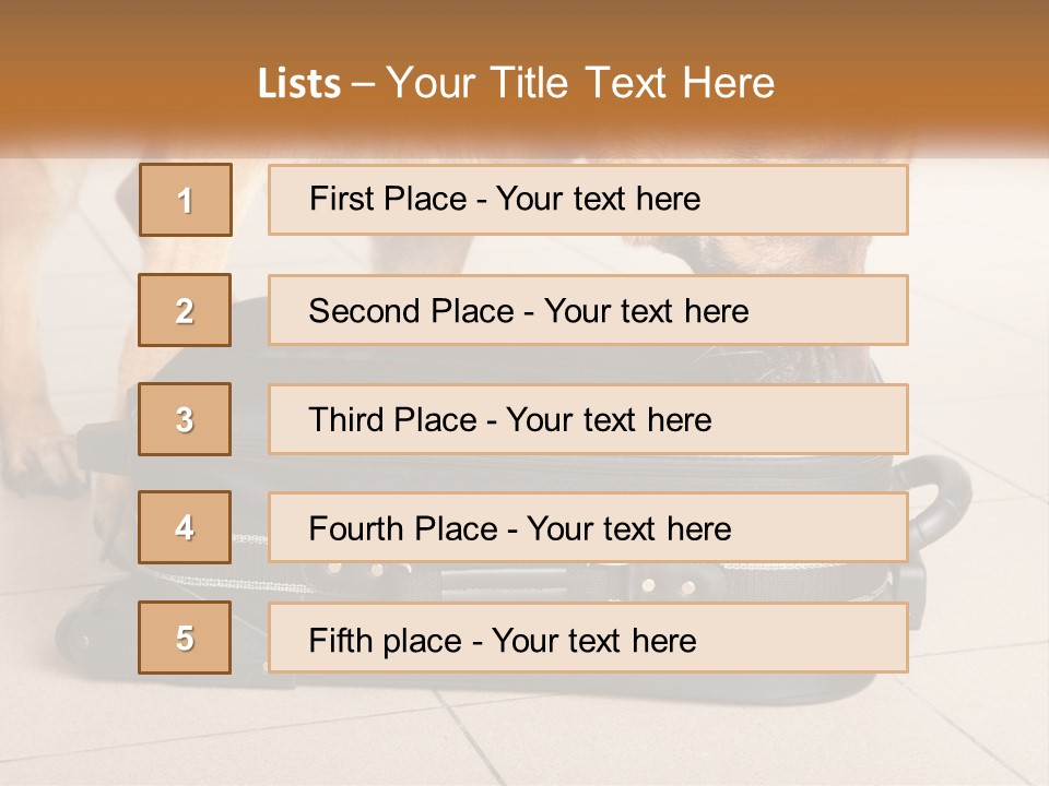 Airport Explosive Sar PowerPoint Template