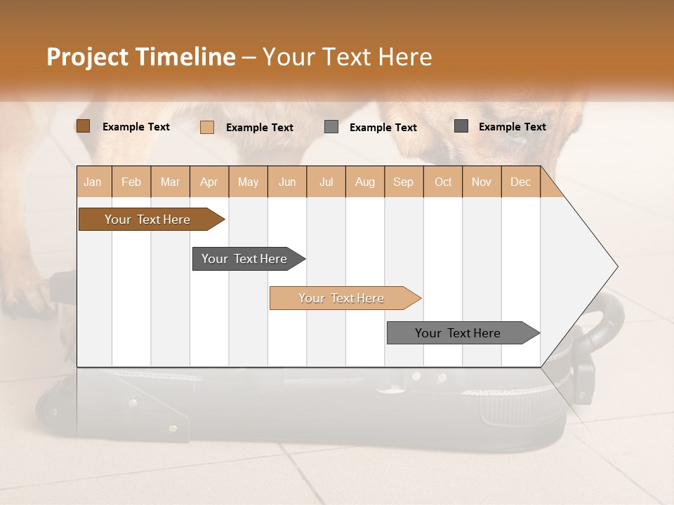 Airport Explosive Sar PowerPoint Template