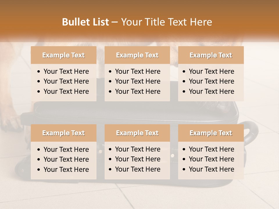 Airport Explosive Sar PowerPoint Template