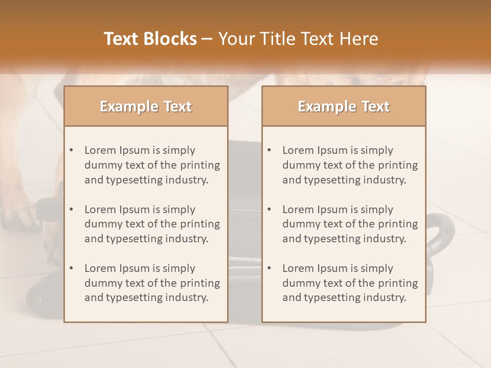 Airport Explosive Sar PowerPoint Template
