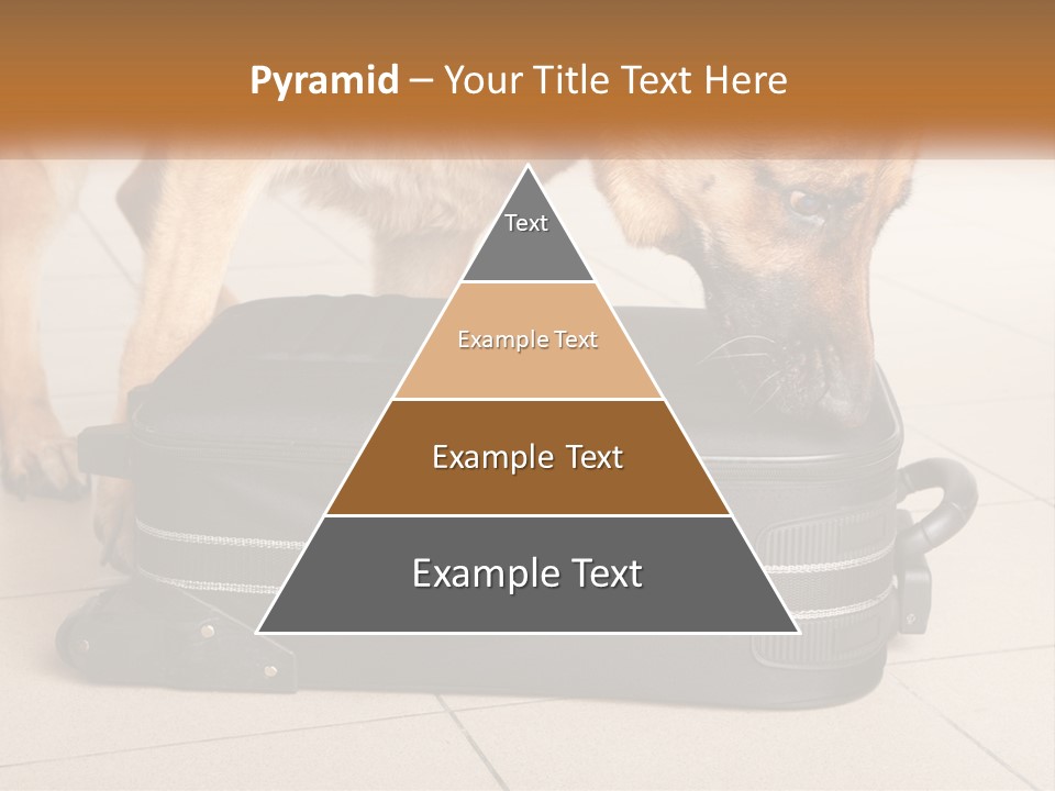 Airport Explosive Sar PowerPoint Template