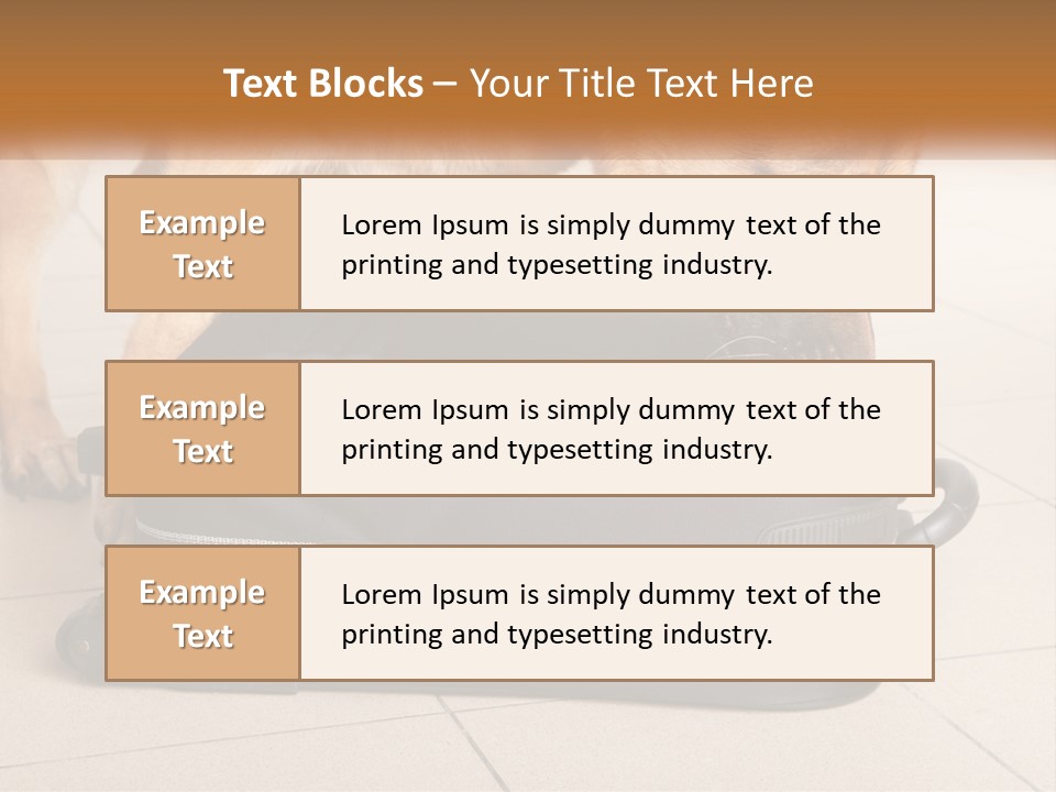 Airport Explosive Sar PowerPoint Template