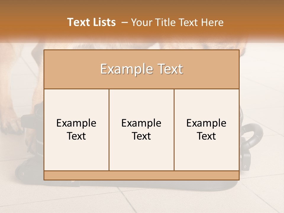 Airport Explosive Sar PowerPoint Template
