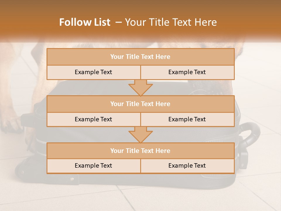 Airport Explosive Sar PowerPoint Template