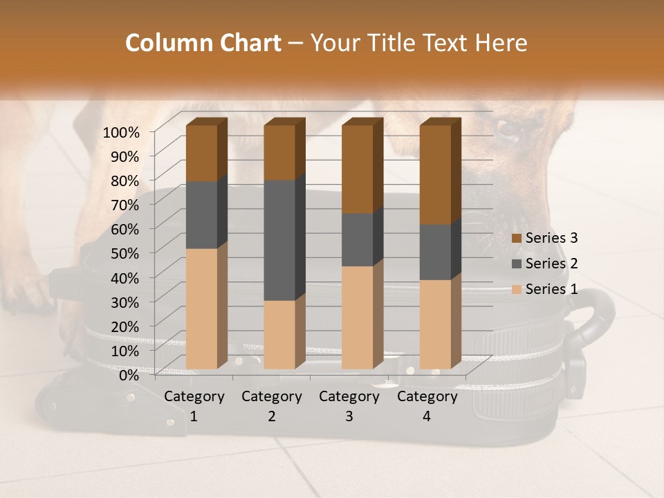 Airport Explosive Sar PowerPoint Template