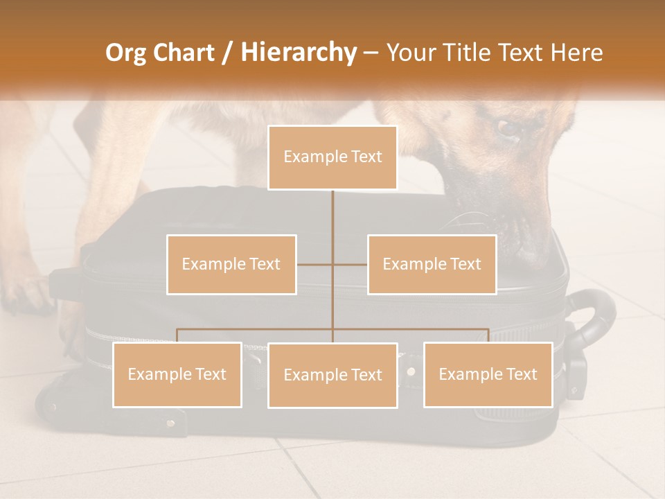 Airport Explosive Sar PowerPoint Template