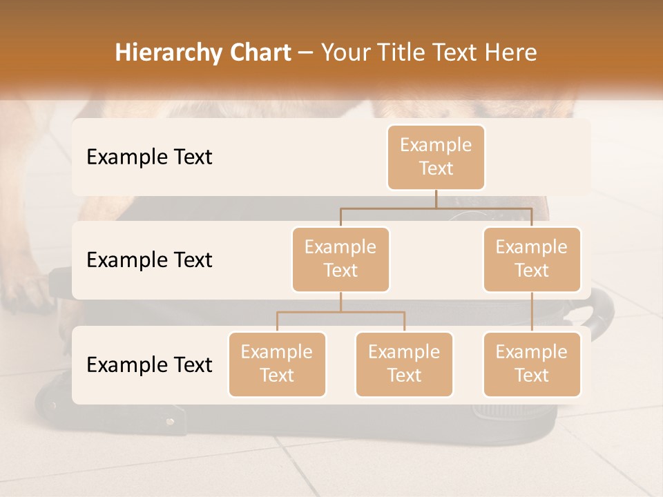 Airport Explosive Sar PowerPoint Template