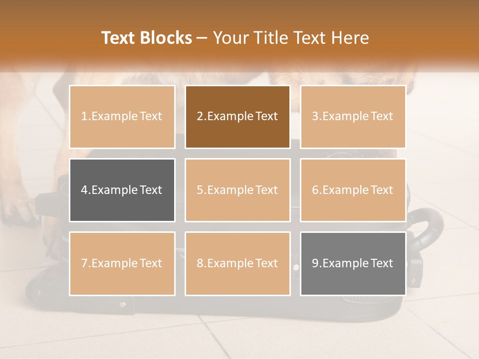 Airport Explosive Sar PowerPoint Template