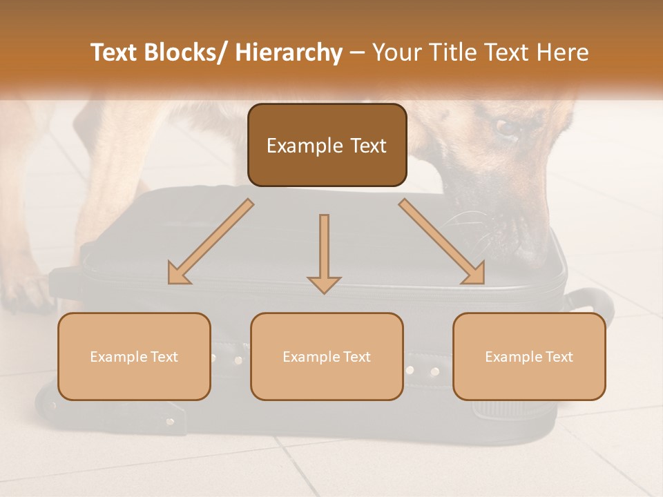 Airport Explosive Sar PowerPoint Template